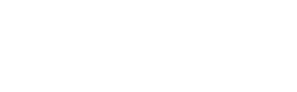 hotel newport disney